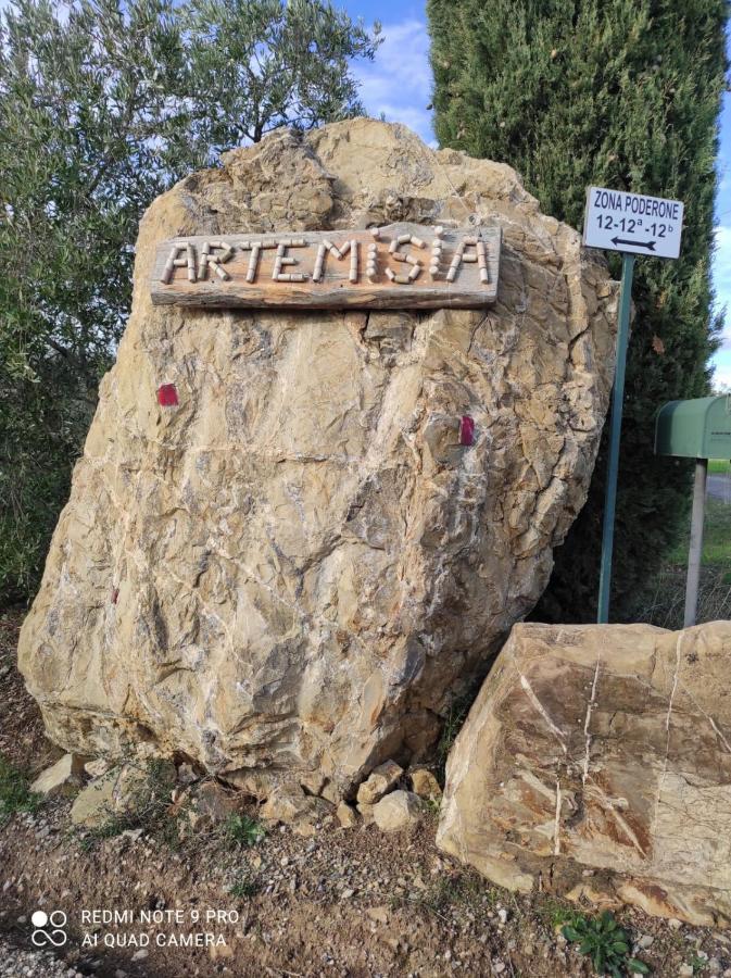 Artemisia Negli Ulivi B&B 마글리아노 인 토스카나 외부 사진