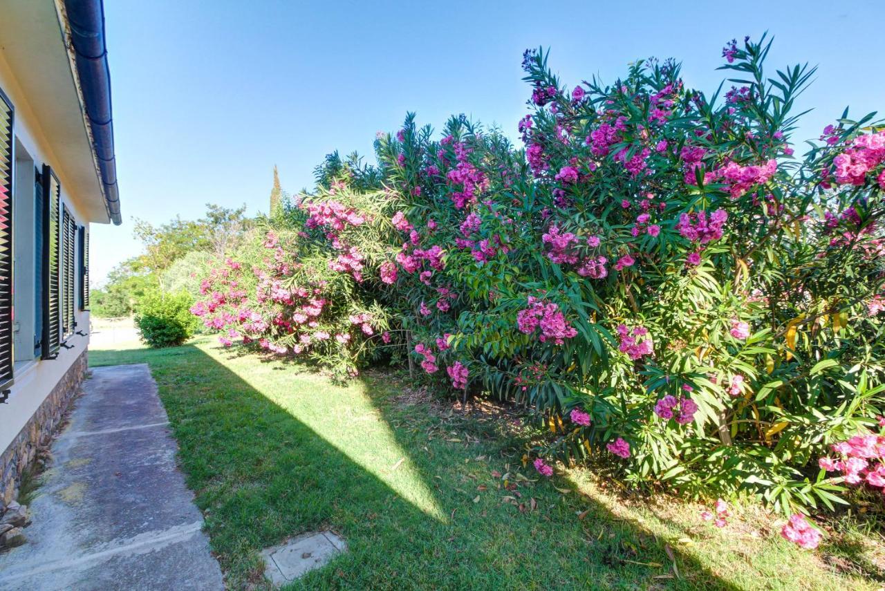 Artemisia Negli Ulivi B&B 마글리아노 인 토스카나 외부 사진